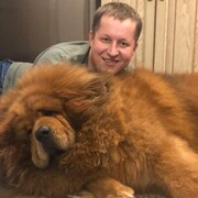 ���������� �����, ���� ������� �������, 37 ���, ������������ ��� ������, ����� � ���������