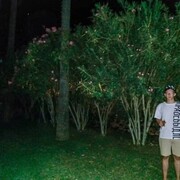 ,   , 23 ,   ,   