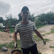  ,   Kit dimati, 27 ,   ,   