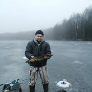 ���������� �����, ���� ������� �������, 38 ���, ������������ ��� ������, ����� � ���������, c�������� ���������