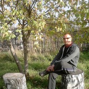  ,   , 44 ,   