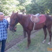 ���������� ������ ���, ���� ������� ���������, 54 ����, ������������ ��� ������