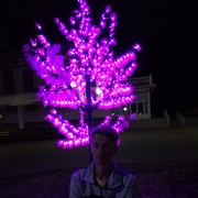  ,   , 36 ,   