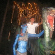 ���������� �����, ���� ������� ��������, 44 ����, ������������ ��� ������