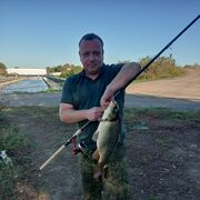 ���������� ������, ���� ������� ������, 39 ���, ������������ ��� ������, ����� � ���������