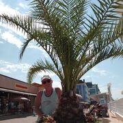 ���������� ������-��-����, ���� ������� ���������, 62 ����, ������������ ��� c�������� ���������