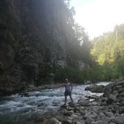  ,   , 43 ,   ,   , c 