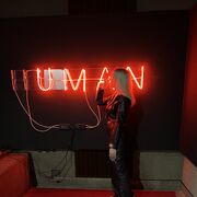  ,   , 21 ,     