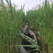 ���������� ���������, ���� ������� ���, 39 ���, ������������ ��� ������, ����� � ���������, c�������� ���������