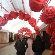 ���������� ������, ���� ������� �����, 35 ���, ������������ ��� ������, ����� � ���������, c�������� ���������, ���������