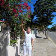  ,   , 65 ,   ,   