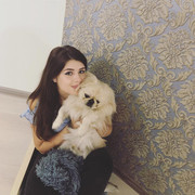 ���������� �������, ���� ������� ����, 29 ���, ������������ ��� ������, ����� � ���������, c�������� ���������