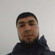 ���������� ������������, ���� ������� Shokh, 30 ���, ������������ ��� ������, ����� � ���������