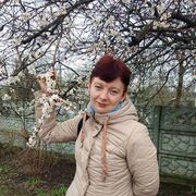 ���������� ��������, ���� ������� ������, 31 ���, ������������ ��� ������, ����� � ���������, c�������� ���������