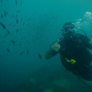 ���������� ���������, ���� ������� ���������, 31 ���, ������������ ��� ������, ����� � ���������, c�������� ���������, ���������