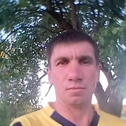  ,   , 46 ,   ,   , c , 