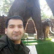  ,   , 33 ,   ,   