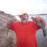  ,   , 63 ,  