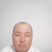  ,  , 44