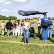 ���������� ������, ���� ������� �������, 61 ���, ������������ ��� c�������� ���������