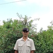  ,   , 45 ,   ,   