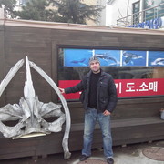  ,   , 43 ,     , c 