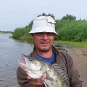  ,   , 51 ,     , c 