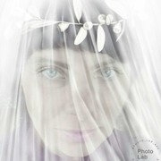 ���������� �����������, ���� ������� ���������, 41 ���, ������������ ��� ������, ����� � ���������, c�������� ���������