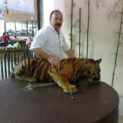 ���������� ����������, ���� ������� ������, 59 ���, ������������ ��� ������, ����� � ���������, c�������� ���������