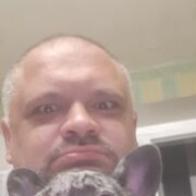 ���������� ������-��-����, ���� ������� �����, 43 ����, ������������ ��� ����� � ���������, c�������� ���������