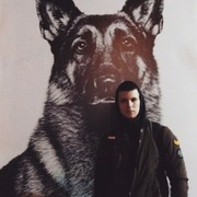 ���������� �����������, ���� ������� ����, 26 ���, ������������ ��� ������, ����� � ���������, c�������� ���������