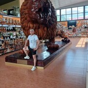 ���������� ���������, ���� ������� ������, 53 ����, ������������ ��� c�������� ���������