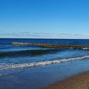 ���������� ������, ���� ������� Oskar, 27 ���, ������������ ��� ������, ����� � ���������, c�������� ���������, ���������