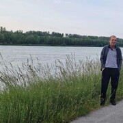  ,   HENRY, 49 ,   ,   , c , 