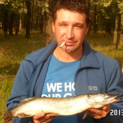  ,   , 53 ,   