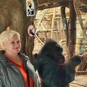 � ��������