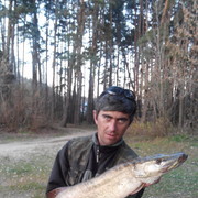 ���������� ��������, ���� ������� ���������, 46 ���, ������������ ��� ������