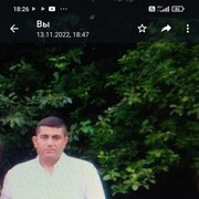  -,   , 49 ,   ,   