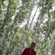  ,   , 52 ,  