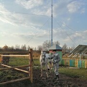 ���������� ������������, ���� ������� ���������, 40 ���, ������������ ��� ������, ����� � ���������