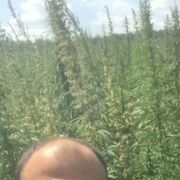 ���������� ������������, ���� ������� �����, 41 ���, ������������ ��� ������, ����� � ���������, c�������� ���������, ���������