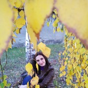  ,   , 41 ,   ,   , c 