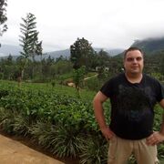 ���������� �����, ���� ������� �����, 37 ���, ������������ ��� ����� � ���������, c�������� ���������