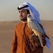 ���������� ������, ���� ������� �����, 39 ���, ������������ ��� ������, ����� � ���������