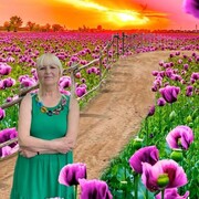 ���������� �������, ���� ������� ��������, 60 ���, ������������ ��� c�������� ���������