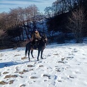 ���������� �����������, ���� ������� ������, 38 ���, ������������ ��� ������, c�������� ���������