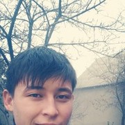 ,   87024015194, 31 ,     , c 