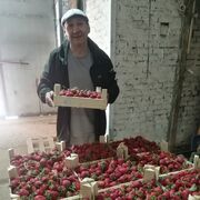  ,   , 47 ,   ,   