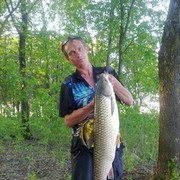 ���������� ������, ���� ������� ���������, 45 ���, ������������ ��� ����� � ���������, c�������� ���������