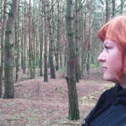 ���������� �����, ���� ������� �����, 55 ���, ������������ ��� ������, ����� � ���������, c�������� ���������